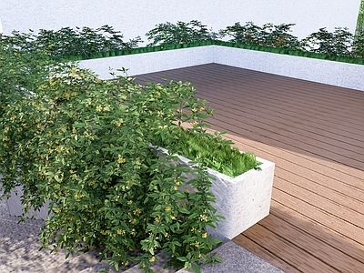 爬墙植物 藤曼