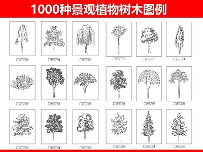 1000种景观植物树木图例 图库