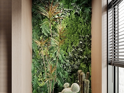 绿植墙