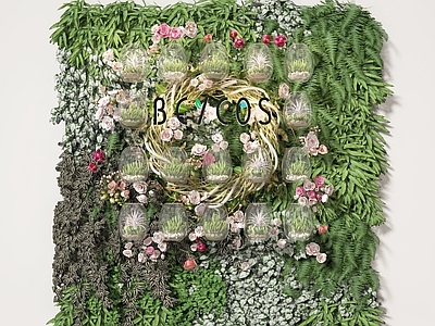 植物墙 墙