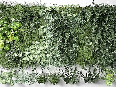 藤本 绿植墙