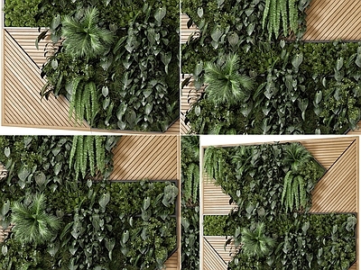 绿植墙 绿植墙