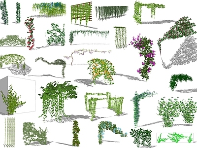 藤本植物