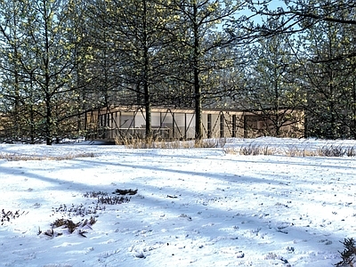 现代风格林中小屋 雪景