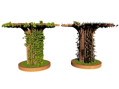 藤本植物 廊架 花架