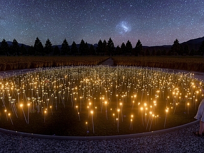现代蒲公英景观灯 星星灯
