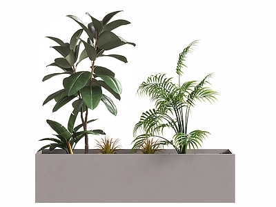 绿植花箱