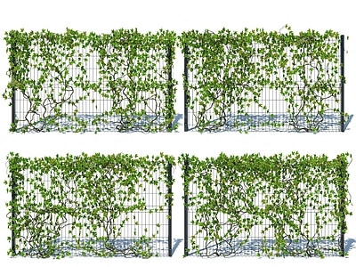 现代爬山虎藤蔓 绿植墙