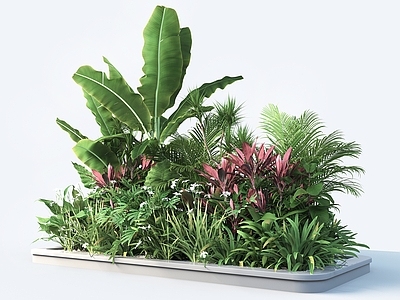 植物堆