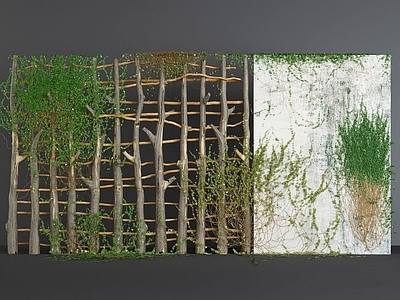 藤本 绿植墙