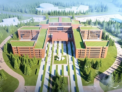 现代学校鸟瞰