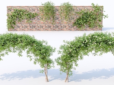 藤蔓植物花架组合 爬藤爬山虎 绿植墙组合 植物墙 画廊植物拱门 绿植墙