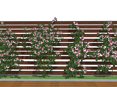 庭院绿植爬藤月季花 景观植物墙 绿植墙