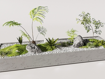 现代植物堆