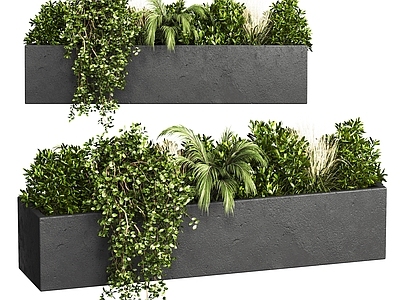 植物堆
