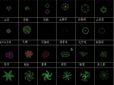 现代植物 图库