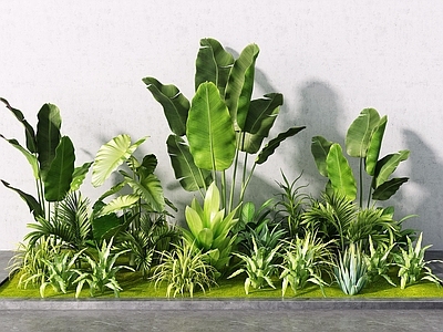 植物堆
