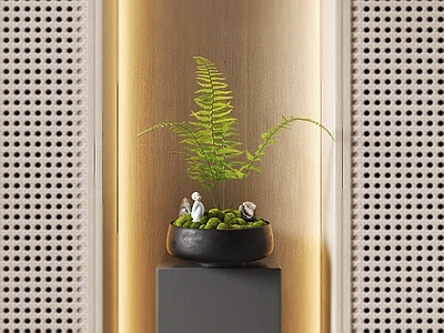 盆栽盆景 桌面