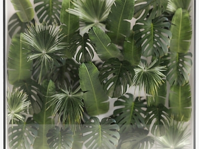 现代植物墙