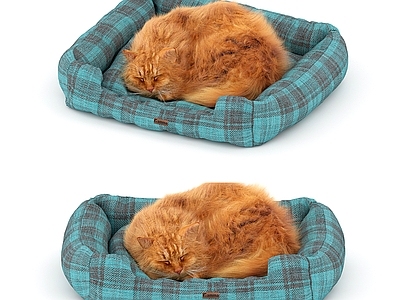 猫 宠物床