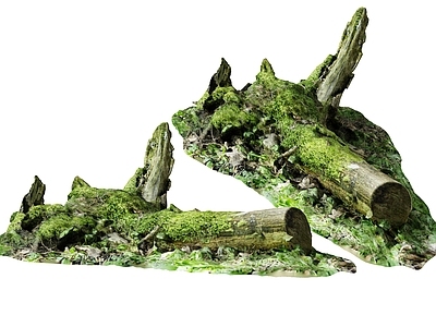 腐木 木头 青苔