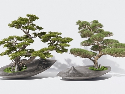 松树盆栽 盆景 罗汉松 迎客松 落地