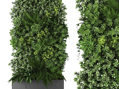 绿植墙