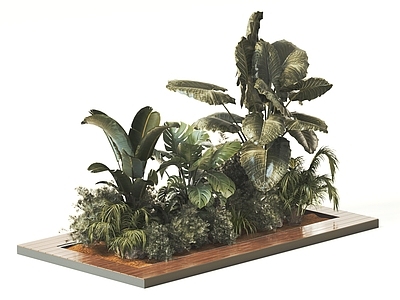 植物堆