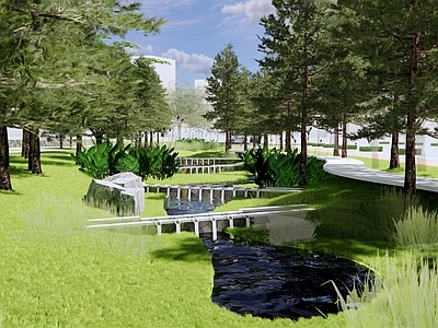 现代湿地运动公园景观 雨水花园 小溪河流 景观水生植物 海绵城市