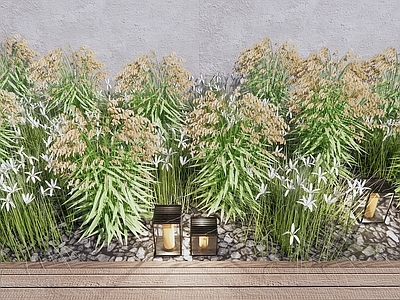 花草组合