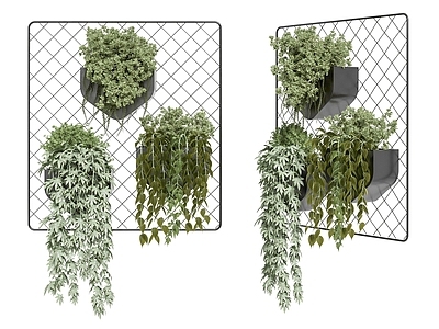 绿植吊篮 藤蔓