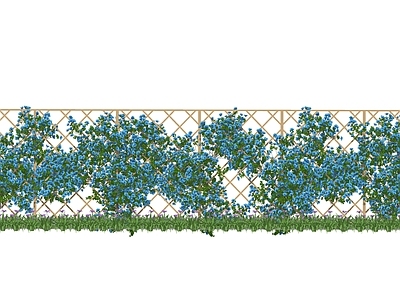 藤本爬藤植物 墙