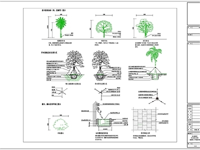 植物支撑方式 施工图