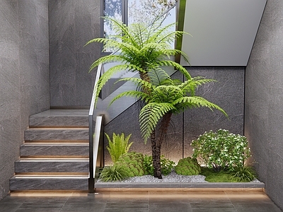 现代楼梯间 造景 植物 植物堆 蕨类植物 热带植物 乔木