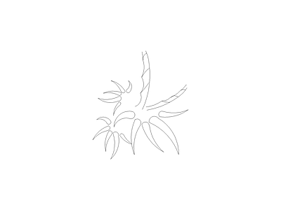 乔木种植 常用植物图例