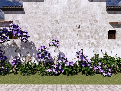 爬藤植物 藤本植物 爬墙植物 铁线莲 古镇花墙 网红花墙 绿植墙