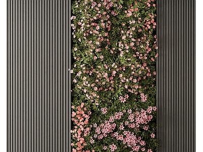 绿植墙