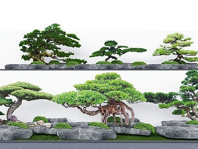 松树 景观树 迎客松 禅意小品 蕨类植物 植物堆