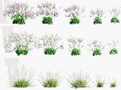 花草