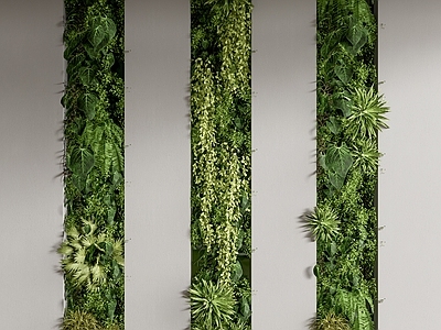 绿植墙 文化墙 墙