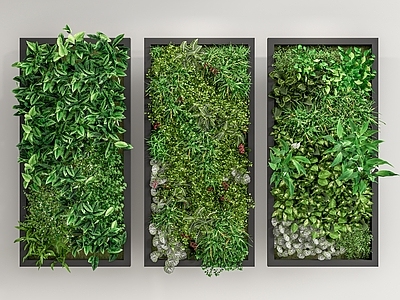 绿植墙 文化墙  绿植墙
