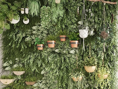植物墙