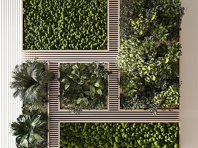 植物墙