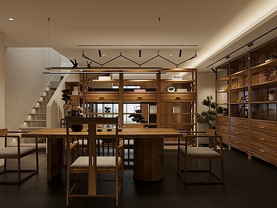 新中式灵芝专卖药店