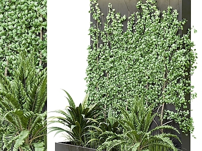 绿植墙