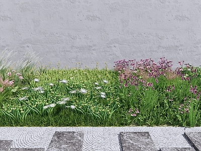 花草植物 草丛 花卉草地
