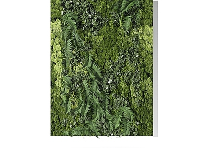 绿植墙