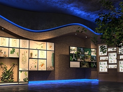 现代植物标本展厅 展廊 展示 墙展示厅