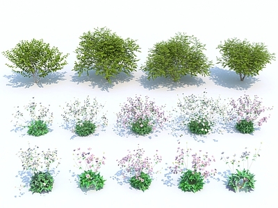 花草组合 灌木 粉花