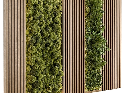 绿植墙 植物墙